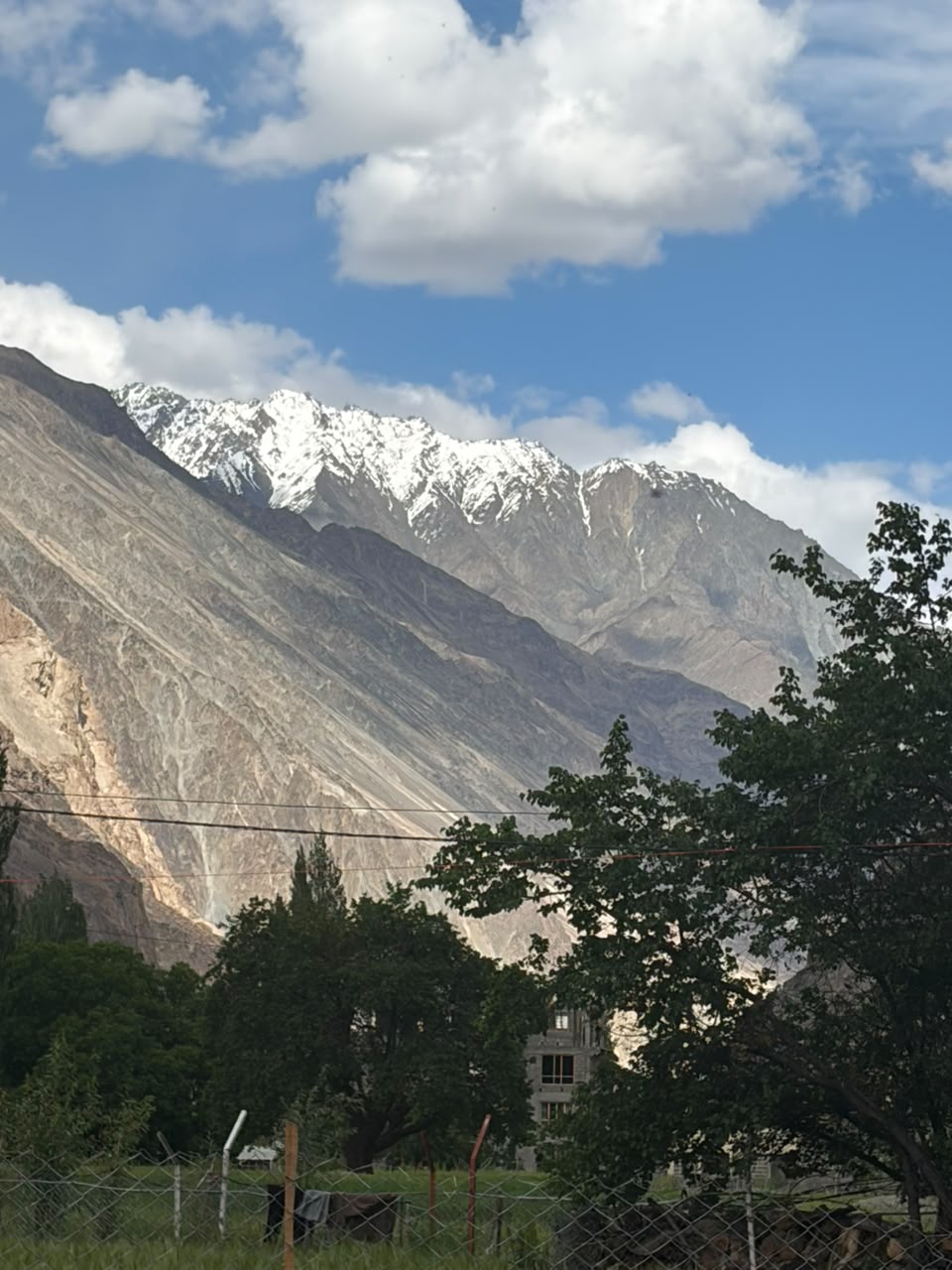 Snow-capped Himalayan peak above trees and village fields in Ladakh