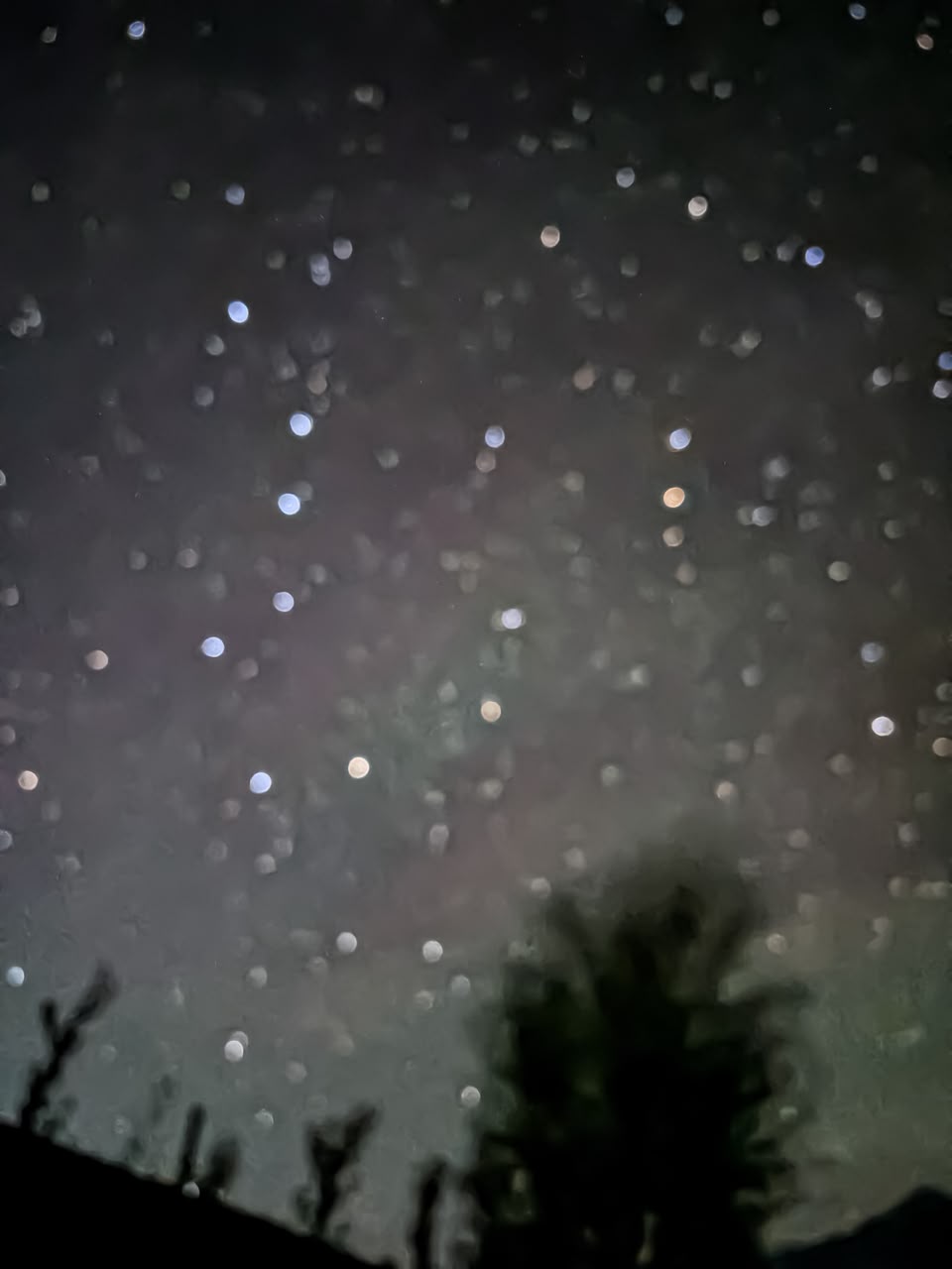 Soft-focus view of stars filling the Ladakh night sky