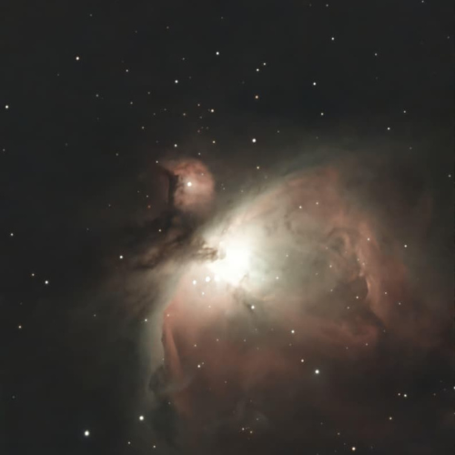 Orion Nebula captured through our telescope